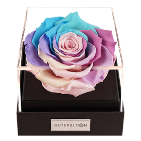 Astoria - Pastel Rainbow