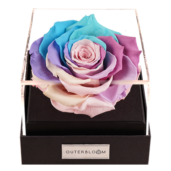 Astoria - Pastel Rainbow