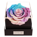 Astoria - Pastel Rainbow