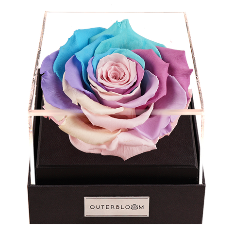 Astoria - Pastel Rainbow