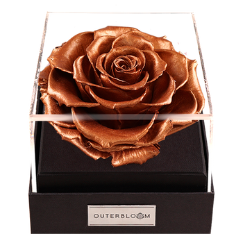 Astoria - Champagne Gold