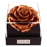 Astoria - Champagne Gold