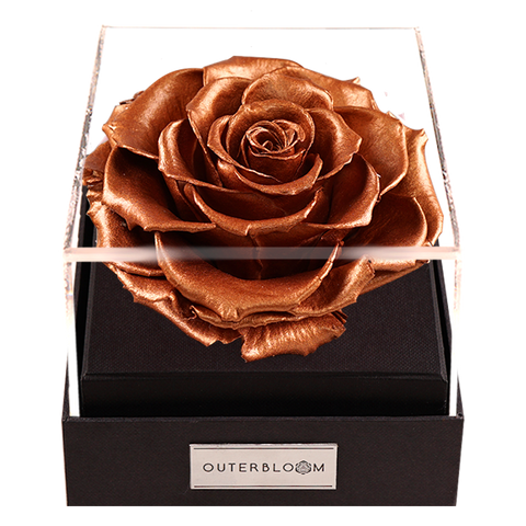 Astoria - Champagne Gold