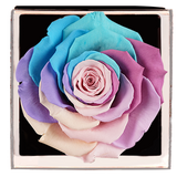 Astoria - Pastel Rainbow