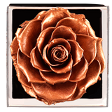 Astoria - Champagne Gold