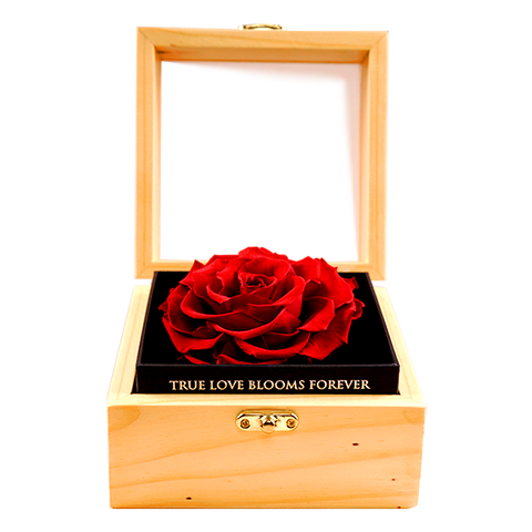 Heritage Box - Passionate Red