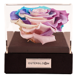 Astoria - Pastel Rainbow