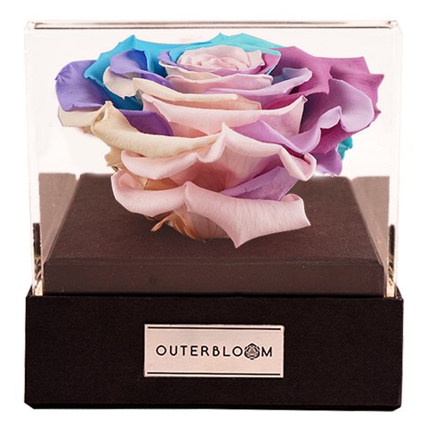 Astoria - Pastel Rainbow