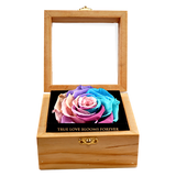 Heritage Box - Pastel Rainbow