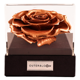 Astoria - Champagne Gold