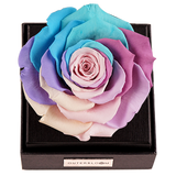 Astoria - Pastel Rainbow