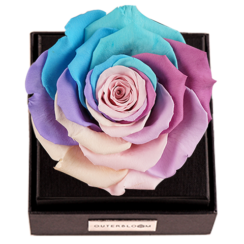 Astoria - Pastel Rainbow