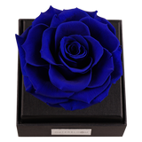 Astoria - Midnight Blue