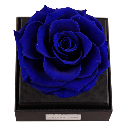 Astoria - Midnight Blue