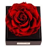 Astoria - Passionate Red