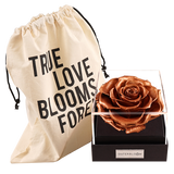 Astoria - Champagne Gold