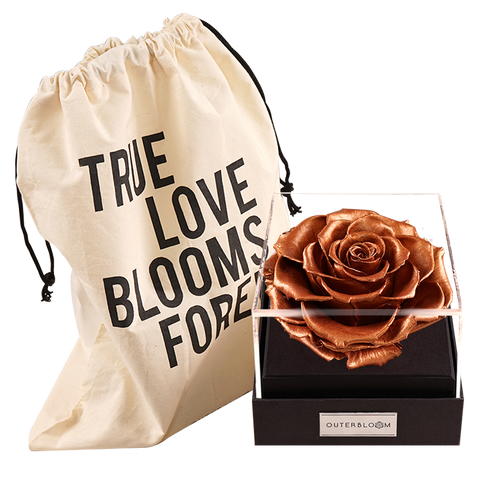 Astoria - Champagne Gold