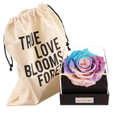 Astoria - Pastel Rainbow