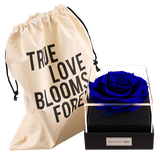 Astoria - Midnight Blue