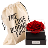 Astoria - Passionate Red