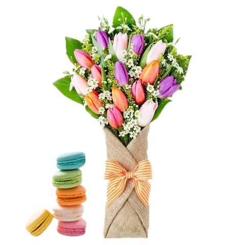 Bubble Fantasy Bundle