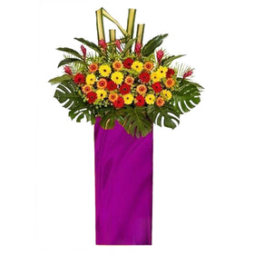 Happiness and Wealth