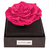 Astoria - Classy Pink