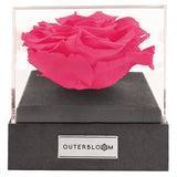 Astoria - Classy Pink