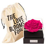 Astoria - Classy Pink