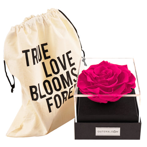 Astoria - Classy Pink