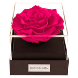 Astoria - Classy Pink