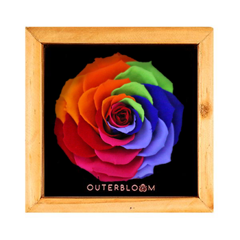 Heritage Box - Magic Rainbow