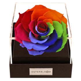 Astoria - Magic Rainbow