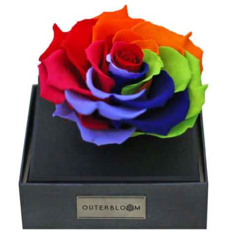 Astoria - Magic Rainbow