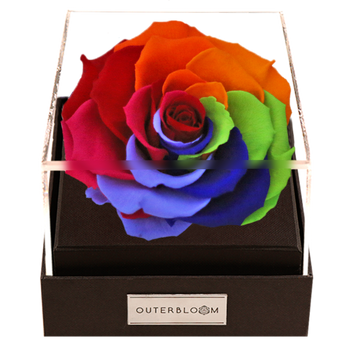 Astoria - Magic Rainbow