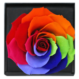 Astoria - Magic Rainbow