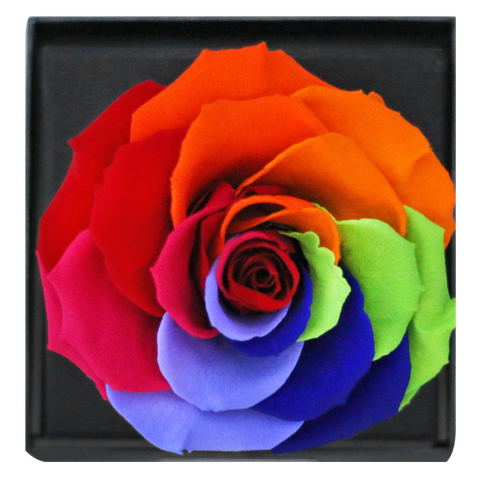 Astoria - Magic Rainbow