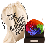 Astoria - Magic Rainbow