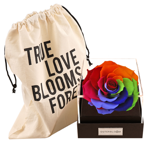 Astoria - Magic Rainbow