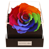 Astoria - Magic Rainbow