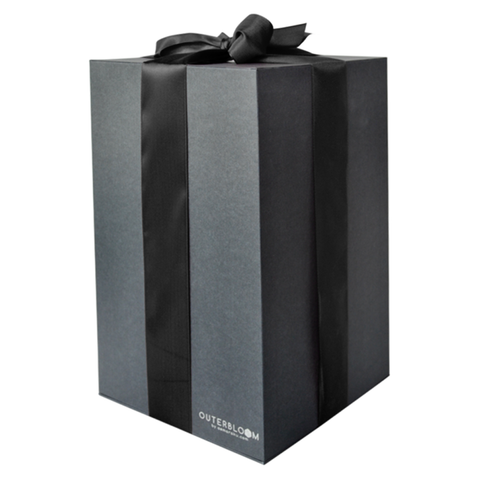 Enchanted Dome - Jet Black with Swarovski