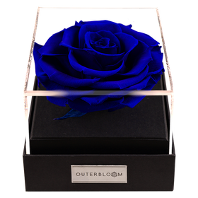 Astoria - Midnight Blue