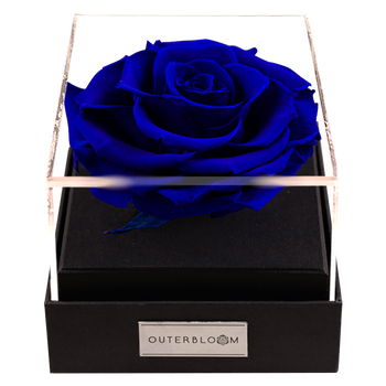 Astoria - Midnight Blue