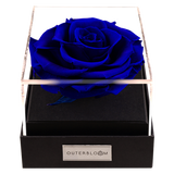 Astoria - Midnight Blue