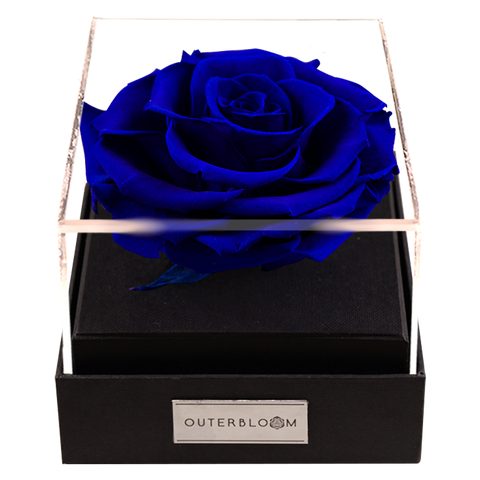 Astoria - Midnight Blue