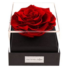 Astoria - Passionate Red