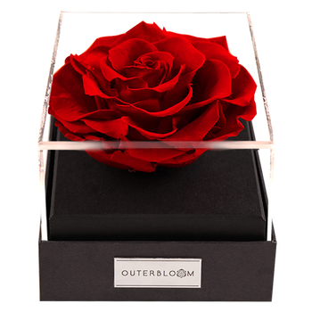 Astoria - Passionate Red