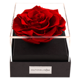 Astoria - Passionate Red