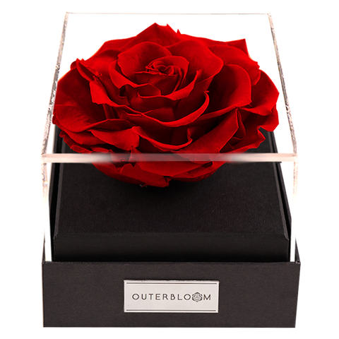 Astoria - Passionate Red