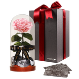 Enchanted Dome - Innocent Pink